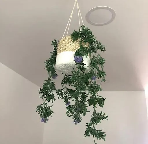 Andando A La Playa A Estrenar Santander