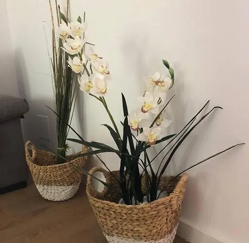 Andando A La Playa A Estrenar Lejlighed